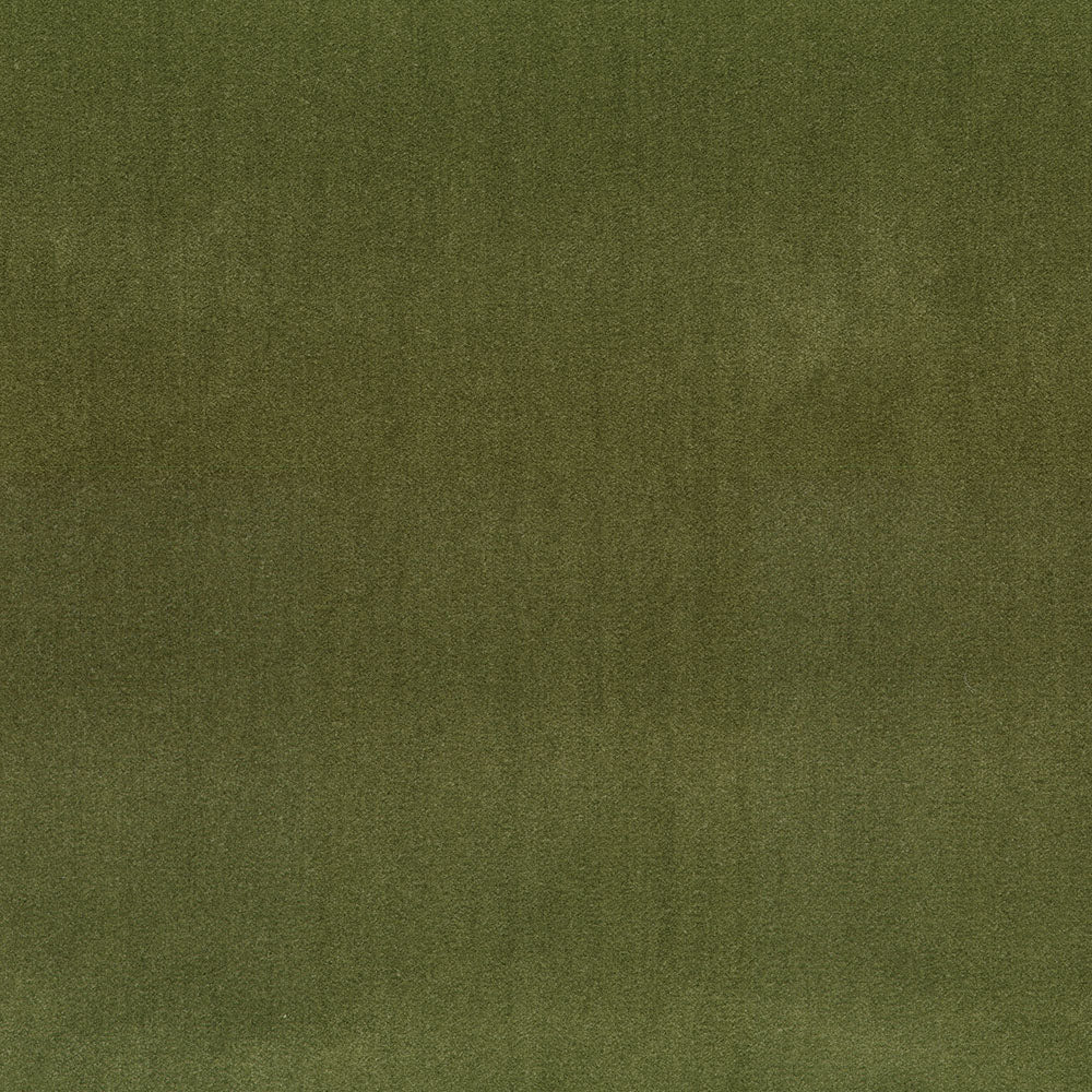 Grand Velvet Olive