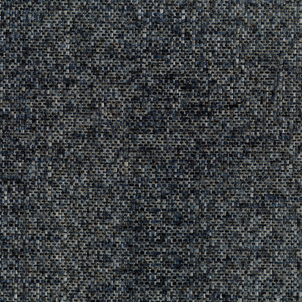Speckle Night