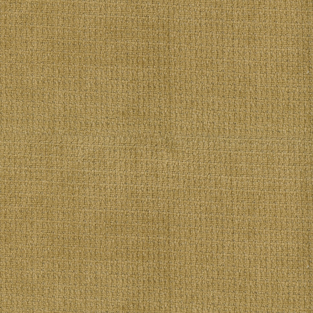 Woolen Marigold
