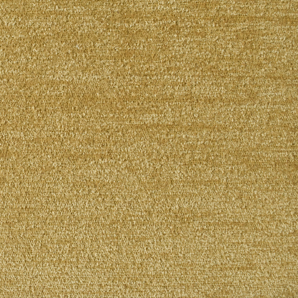 Rapid Cornsilk