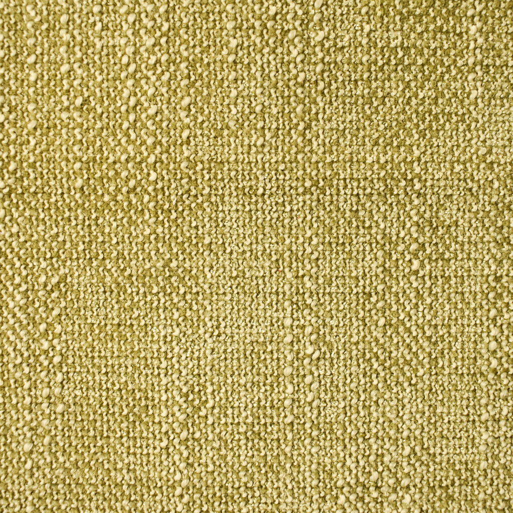 Fame Fern