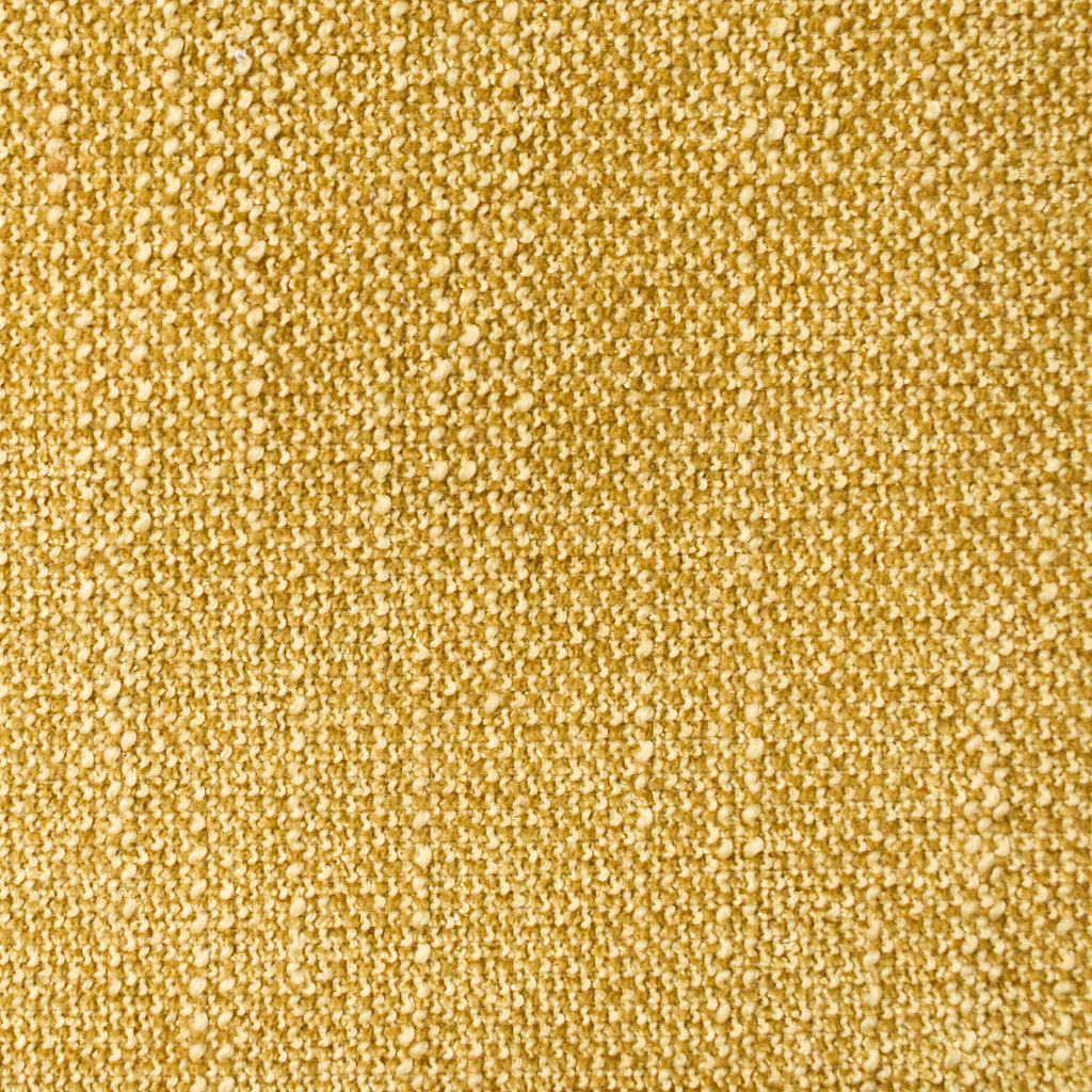 Fame Forsythia