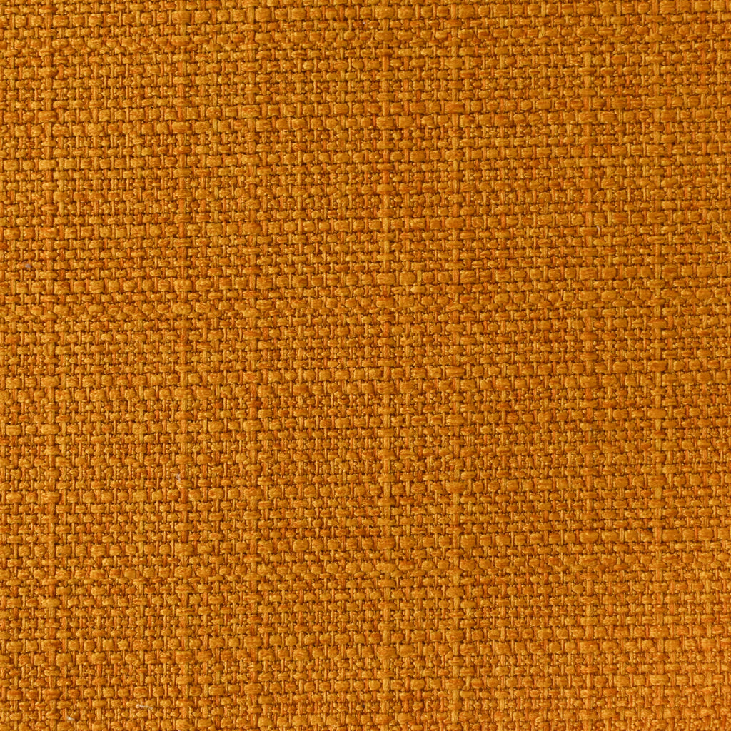 Spicy Marigold