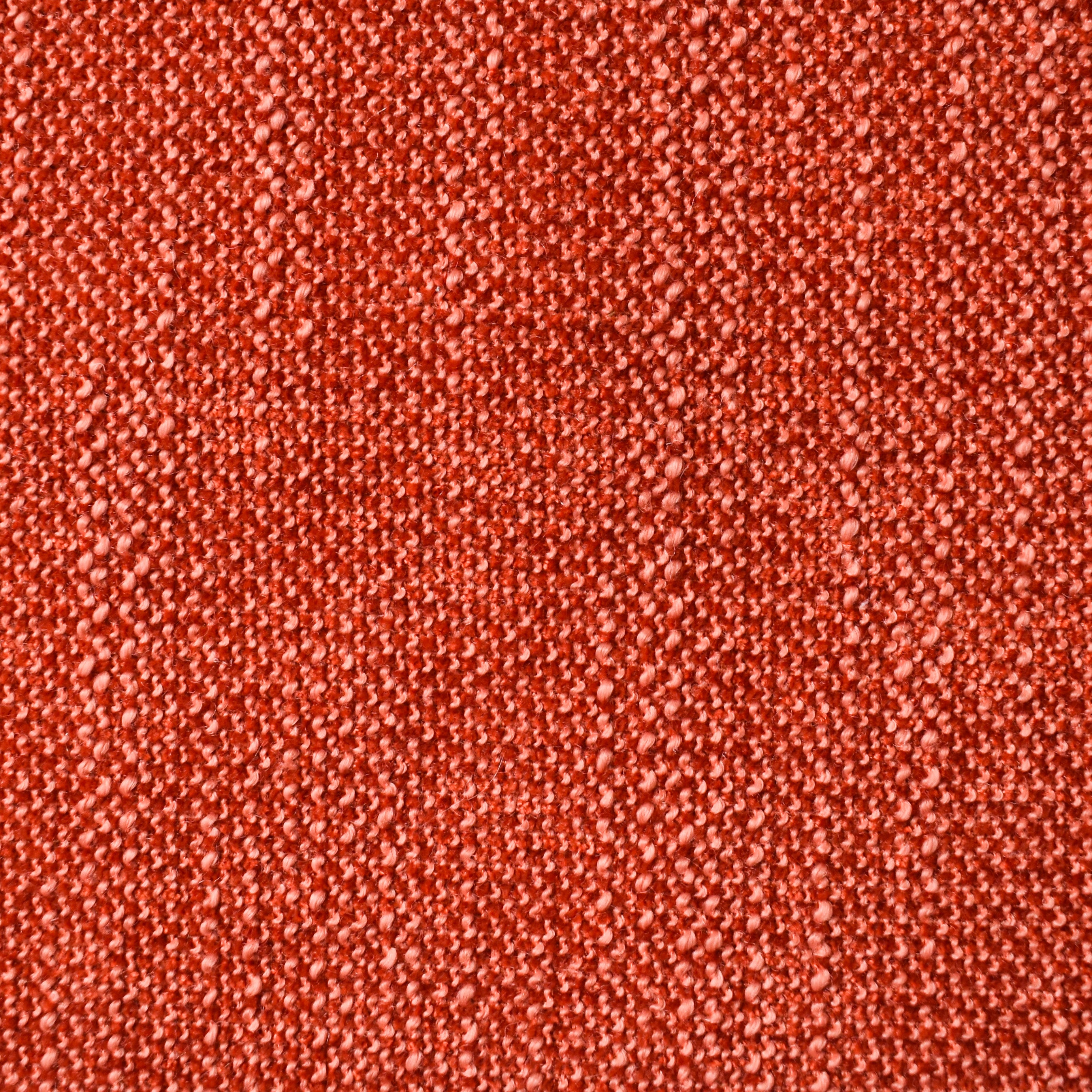 Fame Blossom – Lark Fontaine