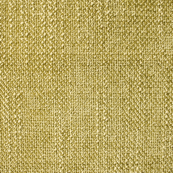 Fame Fern
